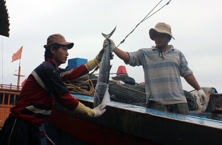 Trong khi đánh bắt, khai thác hải sản khơi xa, các ngư dân đều rất lúng túng khi gặp phải các trường hợp ngạt nước, gãy tay, chân...