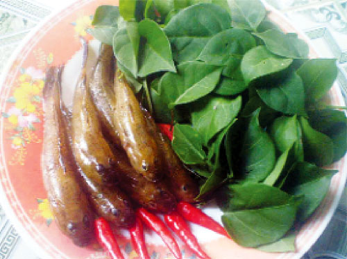  Nguyên liệu nấu canh chua - Ảnh: Ngô Mã Thiên