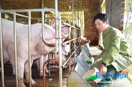  Anh Bùi Minh Toàn bên trang trại chăn nuôi của mình.