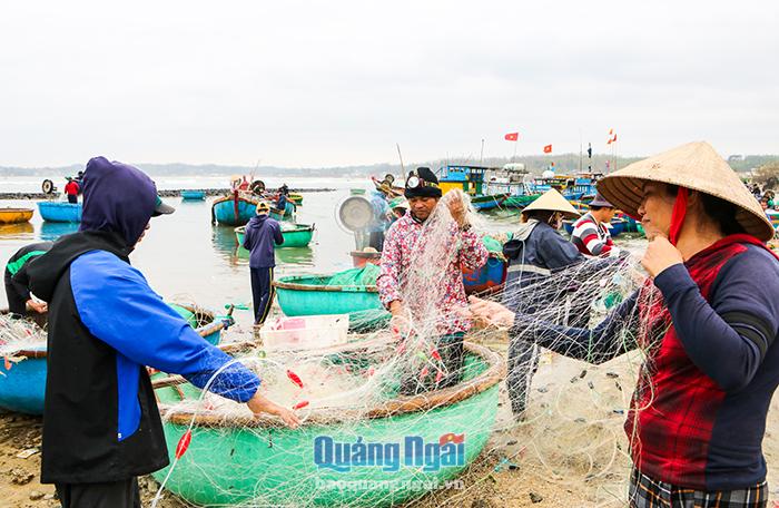 Gia đình chị Nguyễn Thị Ly (thôn Phước Thiện, xã Bình Hải, Bình Sơn) đang gỡ cá, cua bị mắc vào lưới. Thời gian gần đây, các loại hải sản được giá nên sau mỗi mẻ lưới gia đình chị Ly cũng kiếm được 500.000 – 700.000 đồng, đủ để trang trải cuộc sống gia đình.