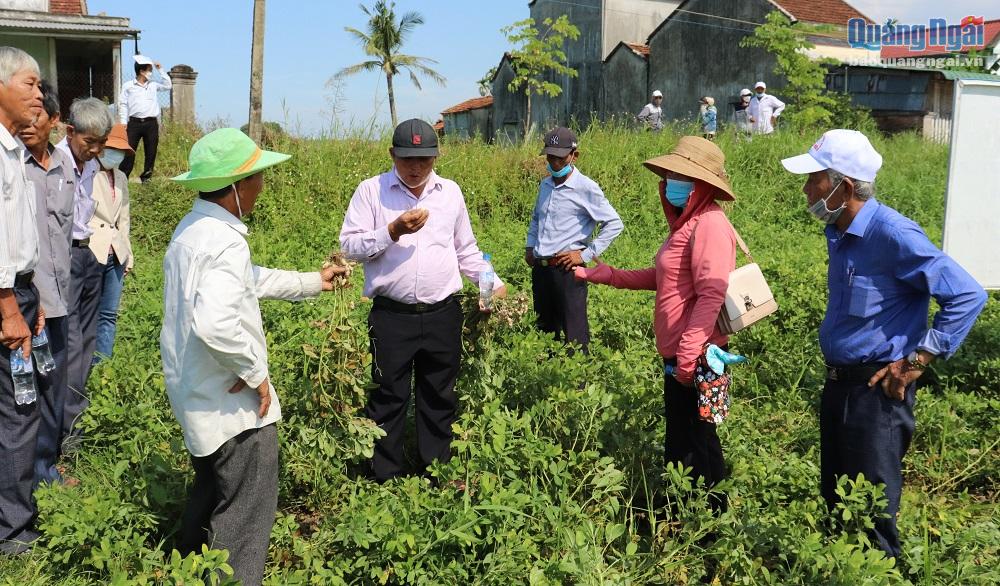 Các đại biểu tham quan mô hình chuyển đổi cây trồng trên đất lúa kém hiệu quả ở xã Hành Đức (Nghĩa Hành).