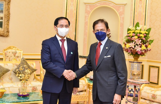 Bộ trưởng Ngoại giao Bùi Thanh Sơn đã tiếp kiến Quốc vương Sultan Haji Hassanal Bolkiah