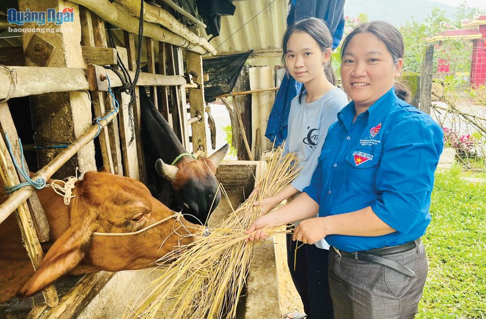 Cô giáo Huỳnh Thị Minh Truyền, Trường THCS Hành Tín Đông (Nghĩa Hành) đã kết nối với các nhà hảo tâm tặng bò cho học sinh có hoàn cảnh khó khăn. ẢNH: MỸ DUYÊN
