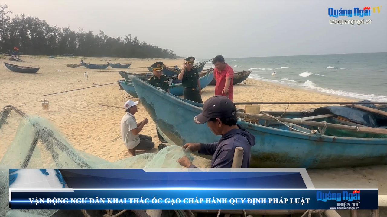 Video: Vận động ngư dân khai thác ốc gạo chấp hành quy định pháp luật