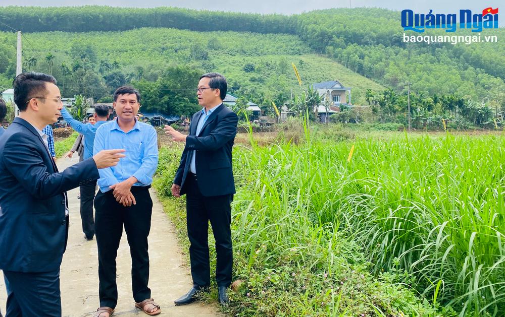 Công ty Cổ phần Tập đoàn Khe Xai Eco (Hà Tĩnh) khảo sát vùng trồng dược liệu tại huyện Sơn Hà.