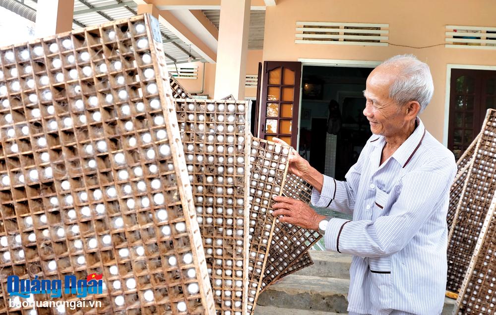 Hiện có trên 30 hộ dân ở thôn Phú An, xã Đức Hiệp (Mộ Đức) còn giữ nghề trồng dâu nuôi tằm.