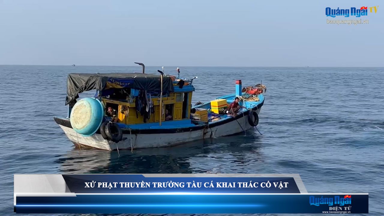 Video: Xử phạt thuyền trưởng tàu cá khai thác cổ vật