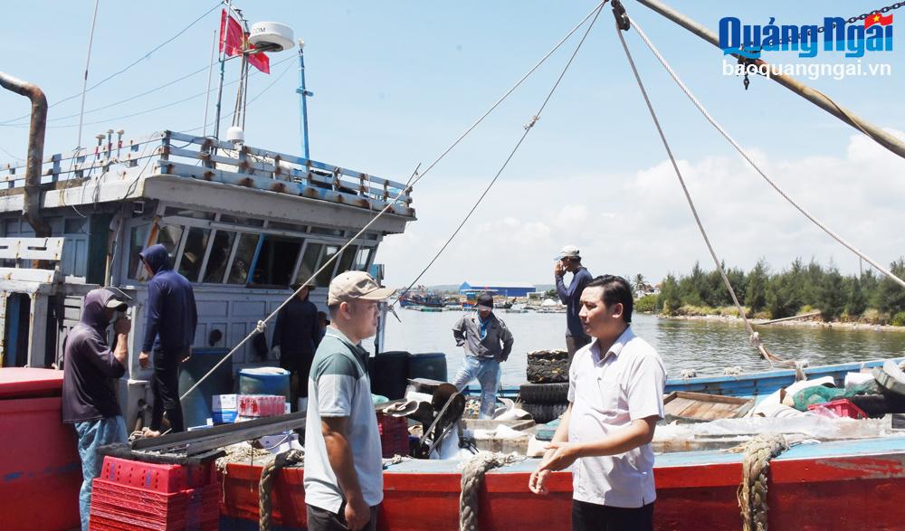 Bình Sơn: Điểm sáng trong chống khai thác hải sản bất hợp pháp