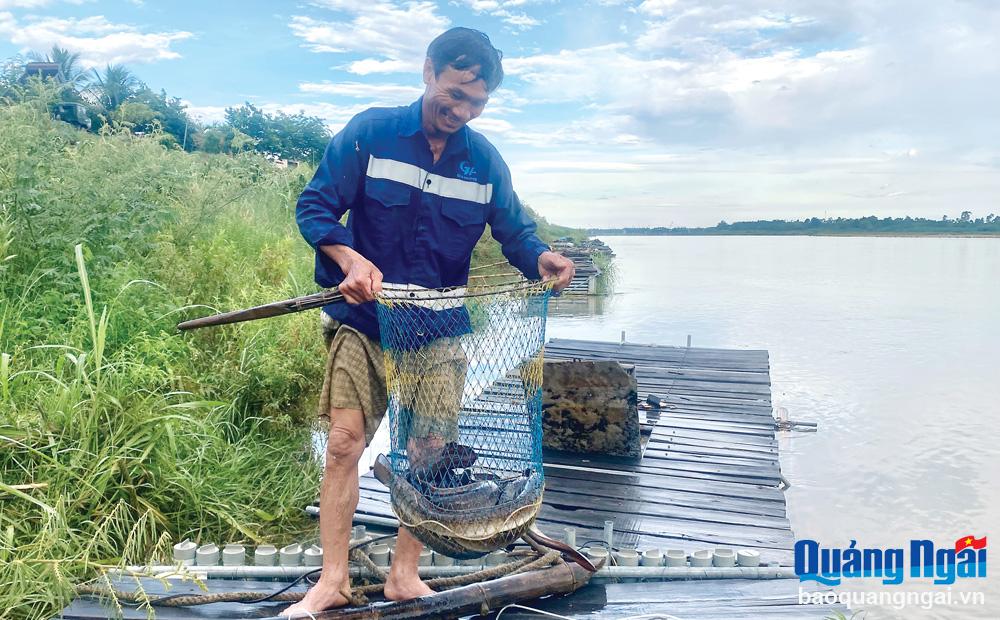 Phát triển nghề nuôi cá chình ở Tịnh Sơn