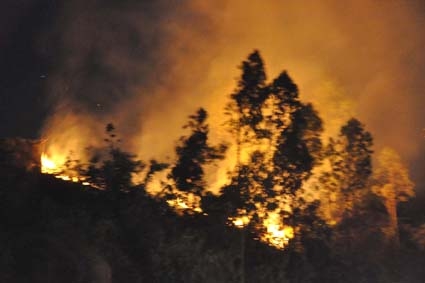 Trong vòng 6 ngày đã xảy ra 2 vụ cháy trên núi Thiên Ấn ( ảnh chụp vụ cháy vào tối 22/5). Ảnh: M.T
