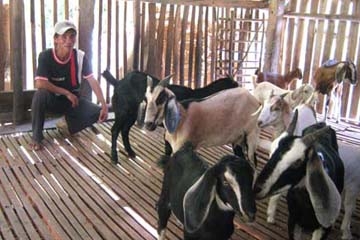  Anh Nguyễn Quang Vinh bên trang trại nuôi dê.