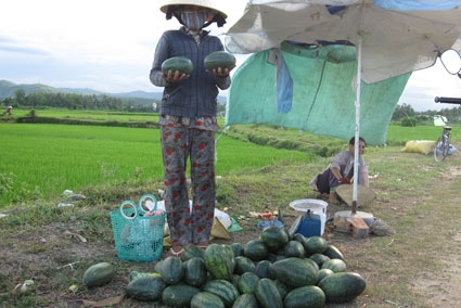 Do dưa không đạt yêu cầu nên nhiều hộ dân phải đem bán lẻ bên lề đường.