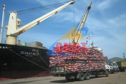 Sắn xuất khẩu tại cảng Quy Nhơn cuối tháng 7/2010. Ảnh: T.Đ