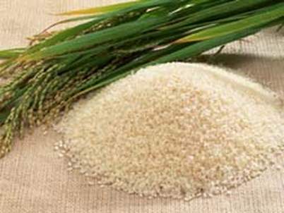  Để phòng bệnh tê phù không nên ăn gạo quá cũ, gạo xay xát quá kỹ.Ảnh: T.L