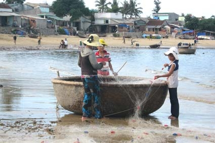 Trẻ em vùng biển lao động kiếm sống.