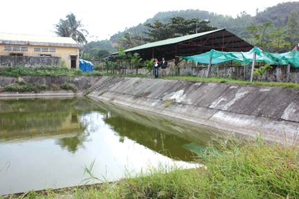 Khu trại ươm nuôi cá giống của Trại thực nghiệm sản xuất giống thủy sản Phổ Hòa. 