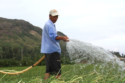 Sản xuất nông nghiệp ở Lý Sơn phụ thuộc hoàn toàn vào nguồn nước tưới chạy bằng động cơ dầu diezen.