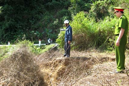 Một trong số những chiếc hố mà dân tìm huỳnh đàn đào bới nằm cạnh Quốc lộ 24.