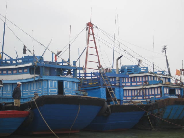        Nhiều tàu cá ở Quảng Ngãi đang nằm bờ 