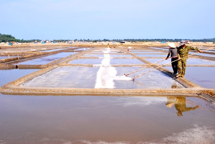 Nhà máy muối đầu tư hàng hơn chục tỷ đồng nhưng diêm dân Sa Huỳnh vẫn không được hưởng lợi.