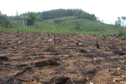 Đốt rừng làm nương rẫy dễ xảy ra cháy rừng.