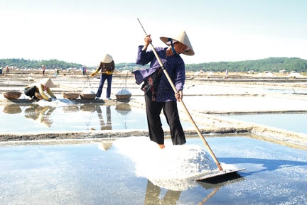  Diêm dân Sa Huỳnh gắn bó với nghề muối  bao đời nay nhưng cuộc sống vẫn luẩn quẩn trong nghèo khó. 