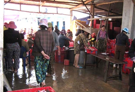  Cơ sở thu mua hải sản của “đầu nậu” Nguyễn Tấn Thành.  