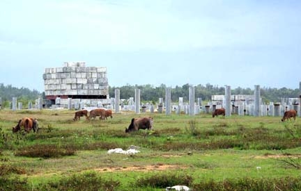 Dự án nhà máy thép Guang Lian đang biến thành nơi chăn thả gia súc.