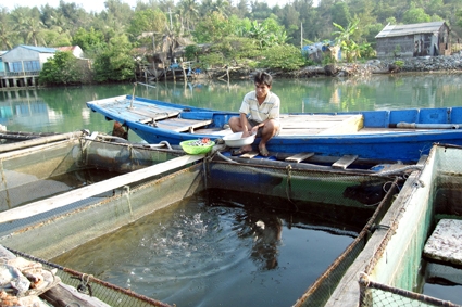 Thanh niên nghèo huyện Bình Sơn vay vốn phát triển nghề nuôi thủy sản đạt hiệu quả cao.