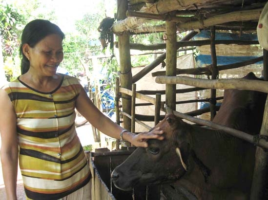 Phụ nữ nông thôn cần được phổ biến kiến thức để chăn nuôi gia súc đạt hiệu quả cao (ảnh minh họa).