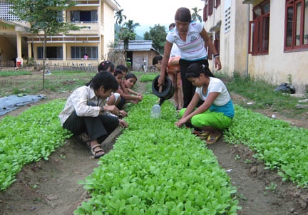 Học sinh trường THCS nội trú Tây Trà "tăng gia" vườn rau sau buổi học.                                                    Ảnh: Tấn Khiêm