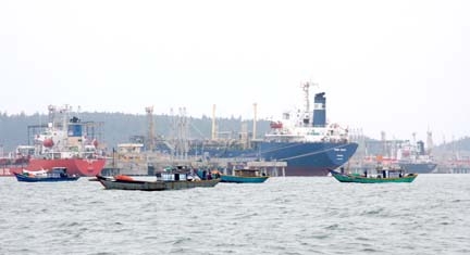 Ngư dân vào cảng xuất sản phẩm đánh bắt hải sản.