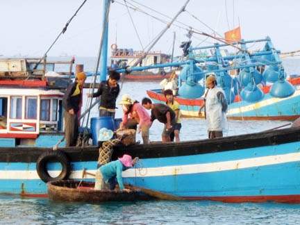 Người buôn bán cá ở đảo Lý Sơn phải chèo thúng đến từng tàu để thu gom cá mang ra chợ bán. 