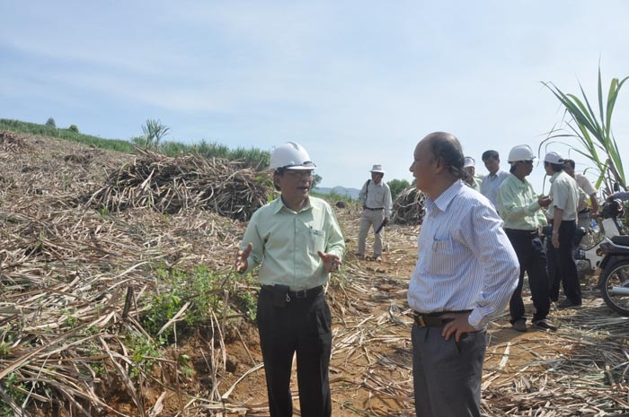Đoàn giám sát đã kiểm tra thực tế kết quả thực hiện dự án tại xã Ba Dinh, huyện Ba Tơ.