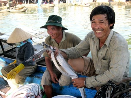 Niềm vui được mùa cá của ngư dân Tịnh Kỳ.