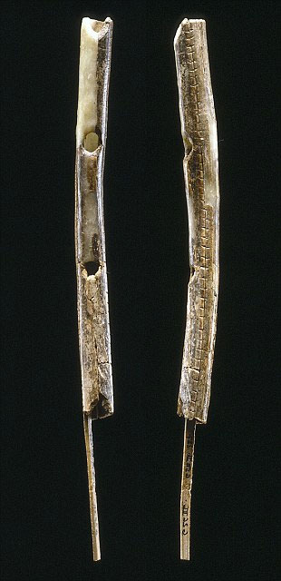  Hai cây sáo được làm từ ngà voi ma mút trong hang Geissenkloesterle tại dãy núi Swabian Jura ở Đức.
