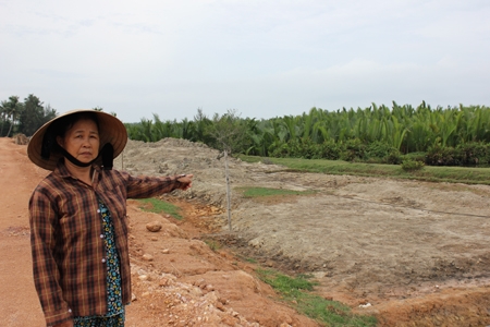 Đất ruộng bỏ không vì vướng đường Dung Quất-Sa Huỳnh