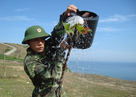Bộ đội đảo Lý Sơn nhọc nhằn tưới nước đảm bảo sự sống cho cây.