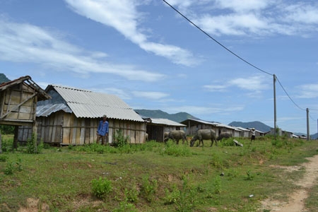 Hơn 30 ngôi nhà được xây dựng nhưng lại bỏ không hơn 2 năm nay vì người dân không có điện và nước để dùng.