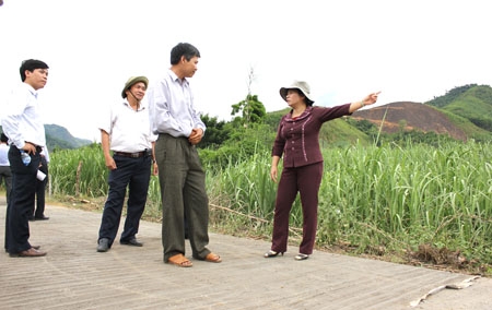 Đồng chí Đinh Thị Loan- Phó Chủ tịch UBND tỉnh kiểm tra tuyến đường thôn Nước Tiên, xã Ba Dinh