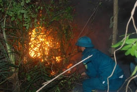 lục lượng chức năng tham gia chữa cháy rừng.