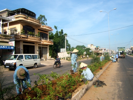 Công nhân Công ty cổ phần Môi trường đô thị Quảng Ngãi chăm sóc hệ thống cây xanh.