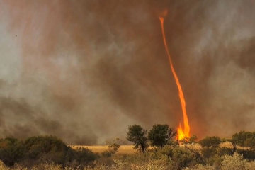   Cơn lốc xoáy lửa cao khoảng 30 mét xuất hiện ở Úc ngày 11/9. (Ảnh: Chris Tangey)