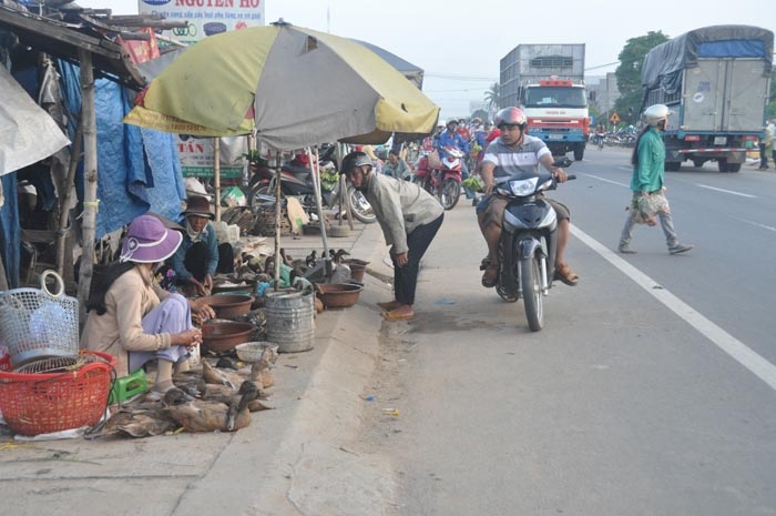 Vô tư mua bán gia cầm sống tại chợ Chiều, xã Tịnh Phong, huyện Sơn Tịnh.