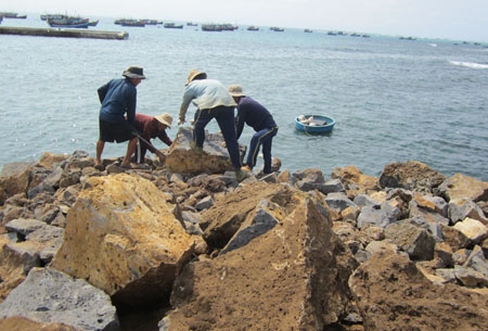 Người dân Lý Sơn vẫn miệt mài chất đá xây kè để bảo vệ hàng ha đất ven biển
