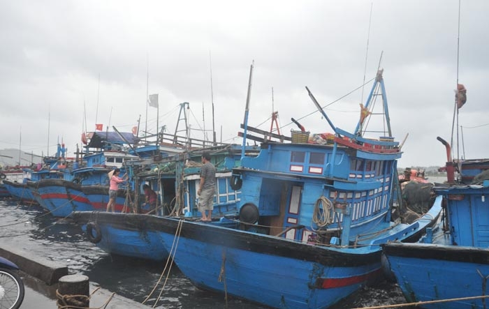 Tàu thuyền đánh bắt trong vùng biển Quảng Ngãi được ra khơi từ ngày 7/10.