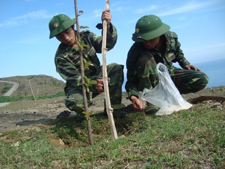 Bộ đội trồng cây xanh trên đảo Lý Sơn.