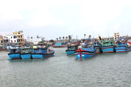 Tàu cá của ngư dân huyện Tư Nghĩa.