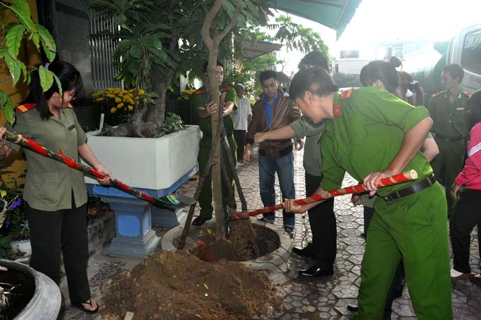 ĐVTN, LLVT thành phố tham gia trồng cây trên các tuyến phố.