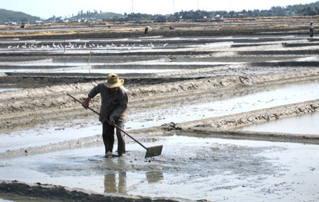 Diêm dân Sa Huỳnh san phẳng nền ruộng muối     